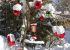 ea_esterne_inver__24_